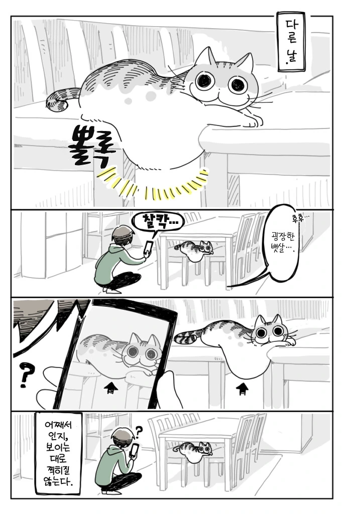 고양이 묘사가 엄청난 만화 - 이미지 3