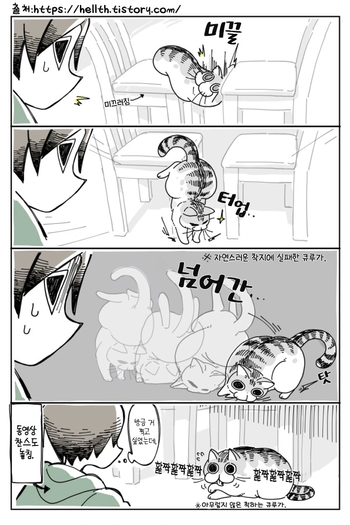 고양이 묘사가 엄청난 만화 - 이미지 4