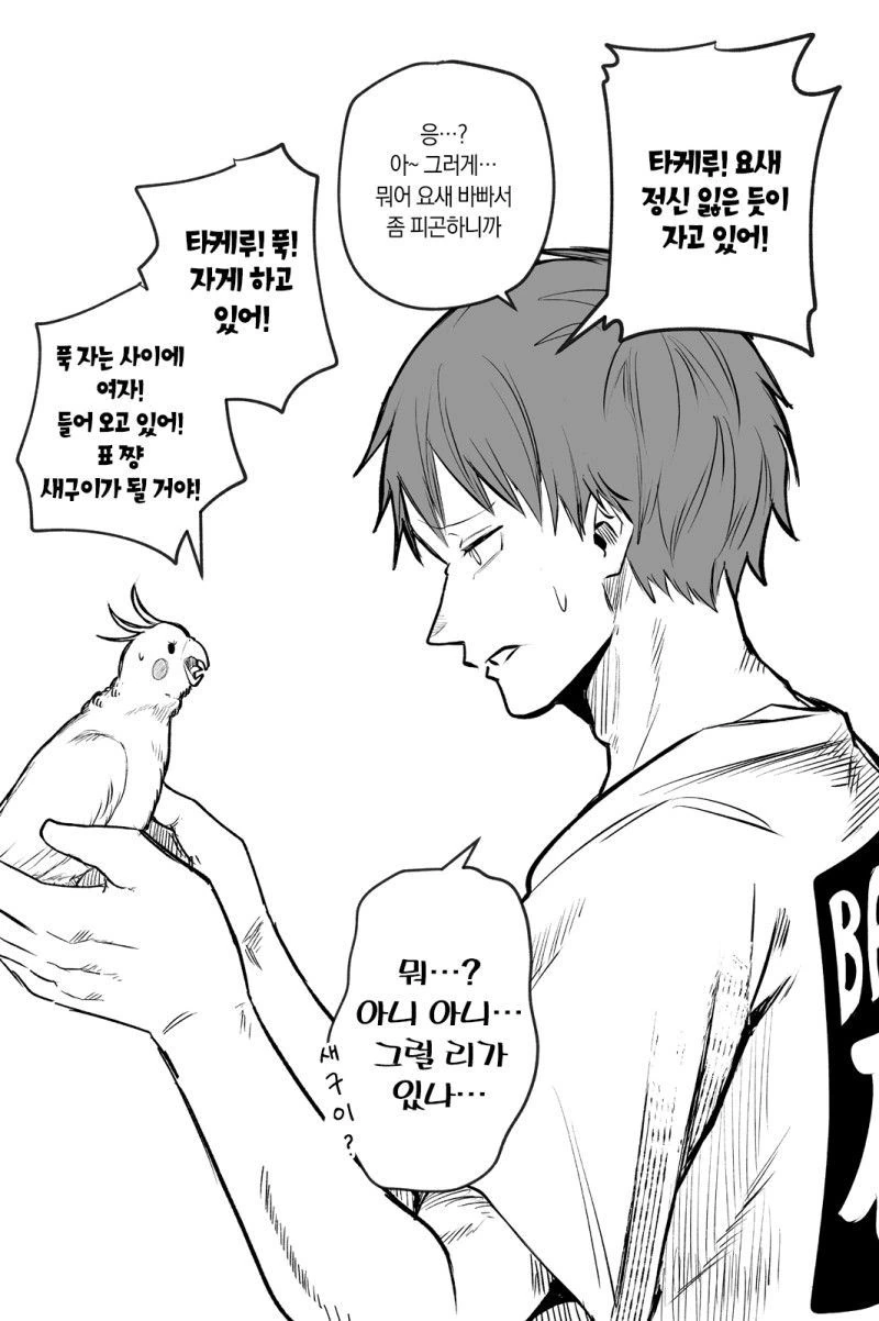 얀데레 스토커녀와 충정심 깊은 앵무새 만화.MANHWA - 이미지 7