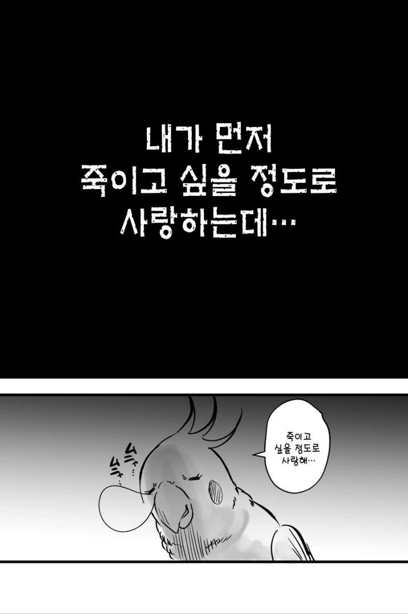 얀데레 스토커녀와 충정심 깊은 앵무새 만화.MANHWA - 이미지 20