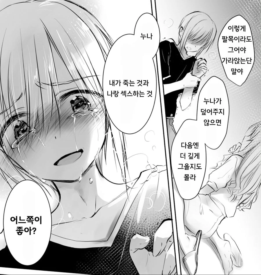 정신나간 동생 만화