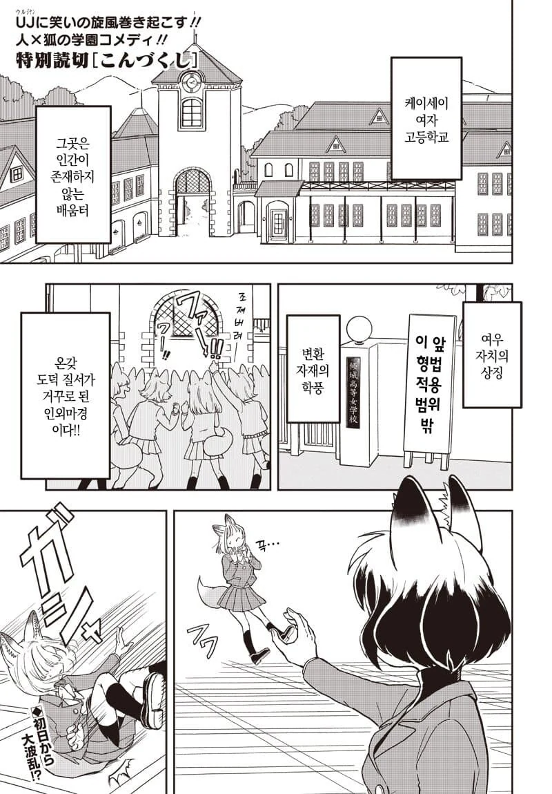 인간인결 비밀로 여우학교에 입학하는.manhwa