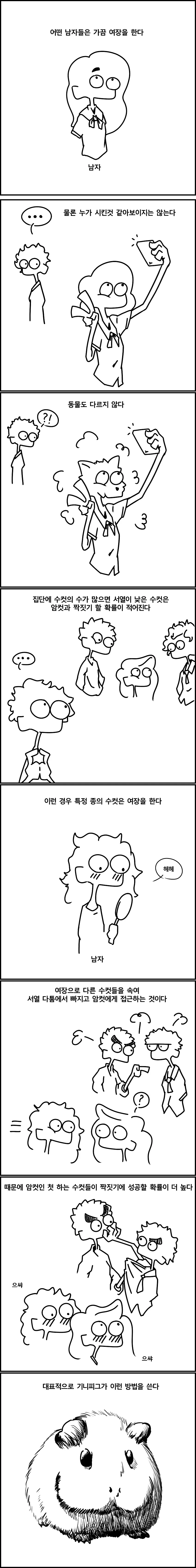 동물(수컷)들의 번식 경쟁.manhwa