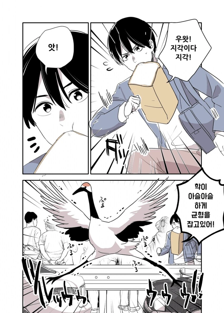 은혜를 갚지 못한 두루미 만화.manga