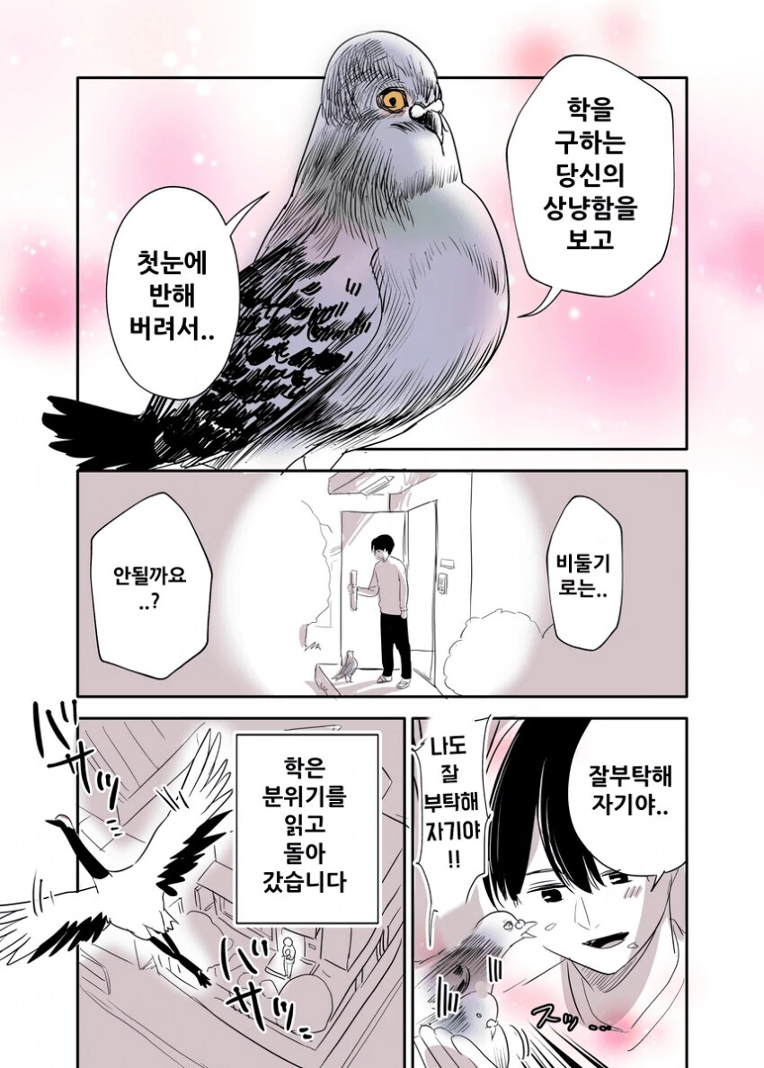 은혜를 갚지 못한 두루미 만화.manga - 이미지 4