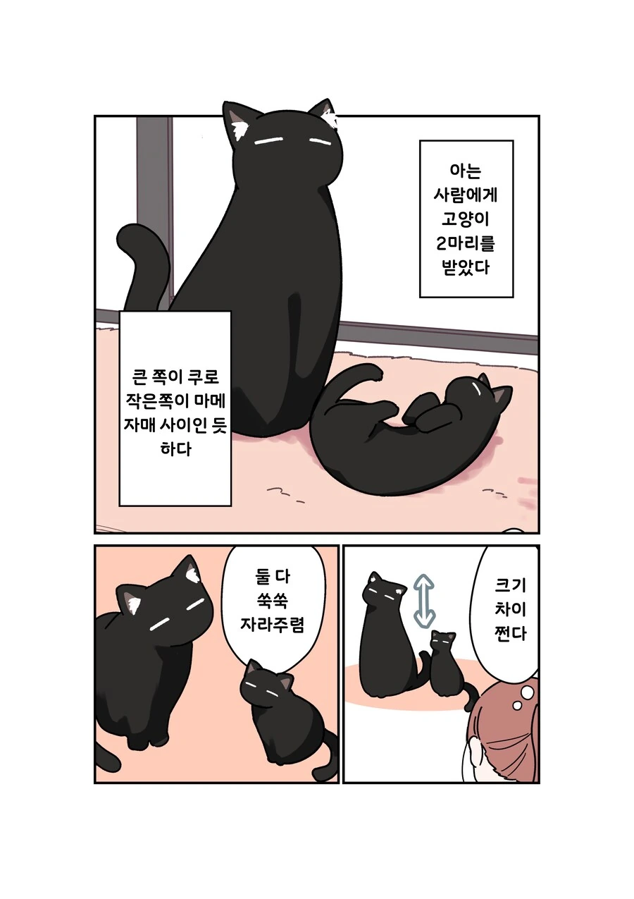 검은고양이 두마리 망가