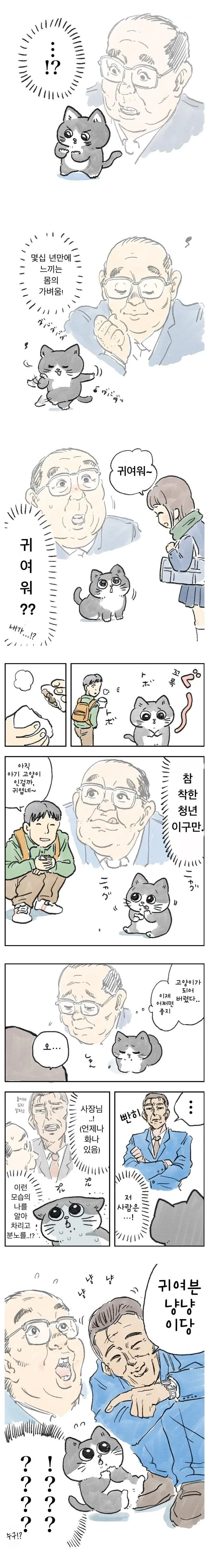 고양이가 된 아저씨 만화