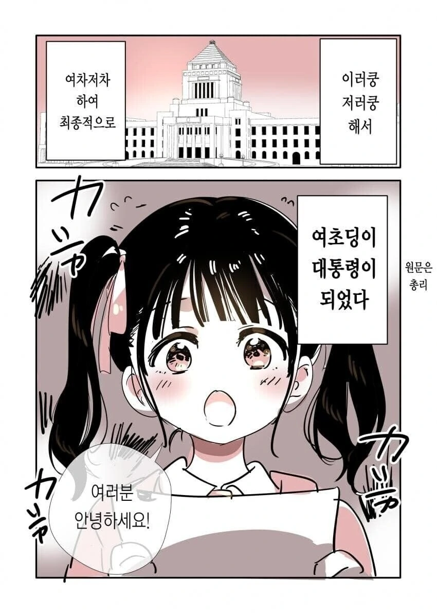 대통령이 정책 발표하는 만화