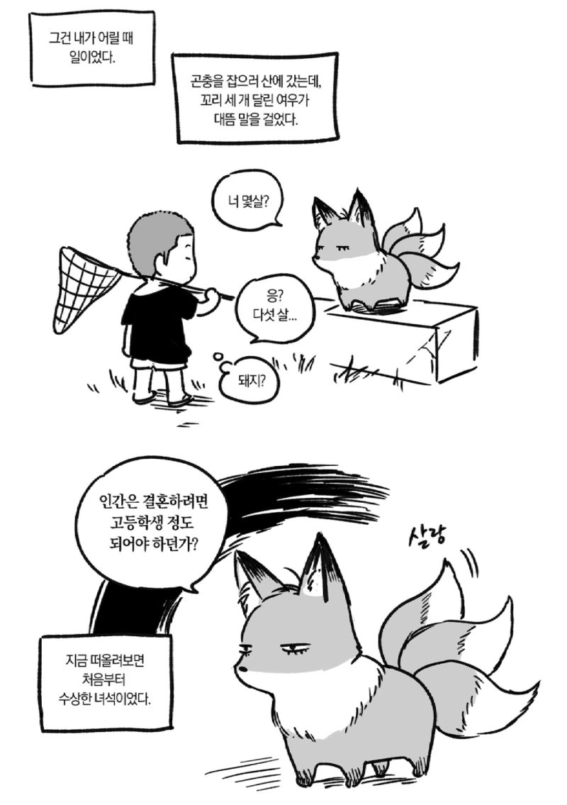 여우와 사랑하는 만화