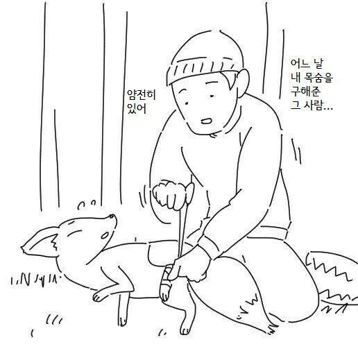 여우랑 결혼하는 만화