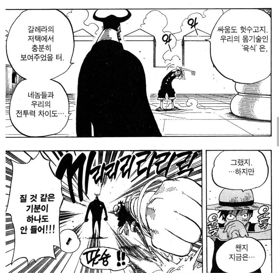 원피스) 에휴... 「철괴」