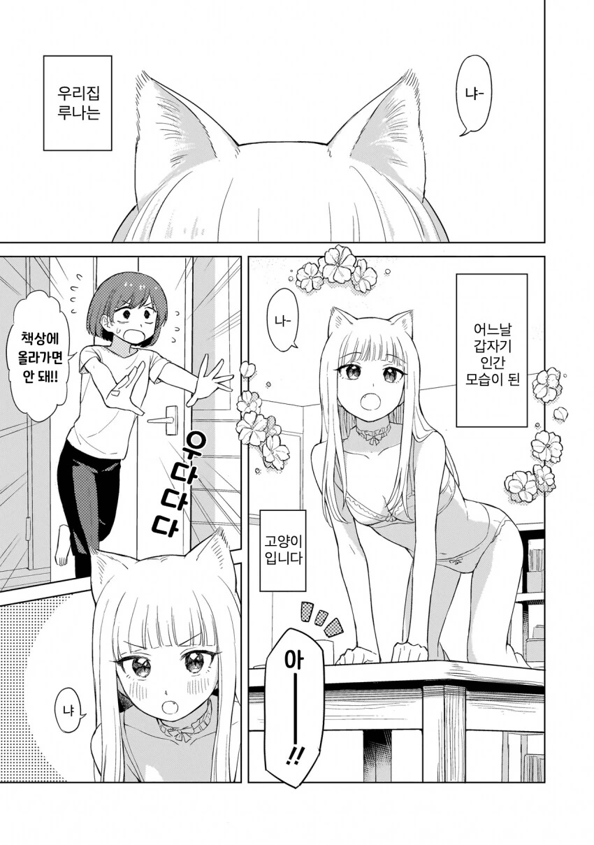 고양이를 키워야 하는 이유 manhwa - 이미지 2