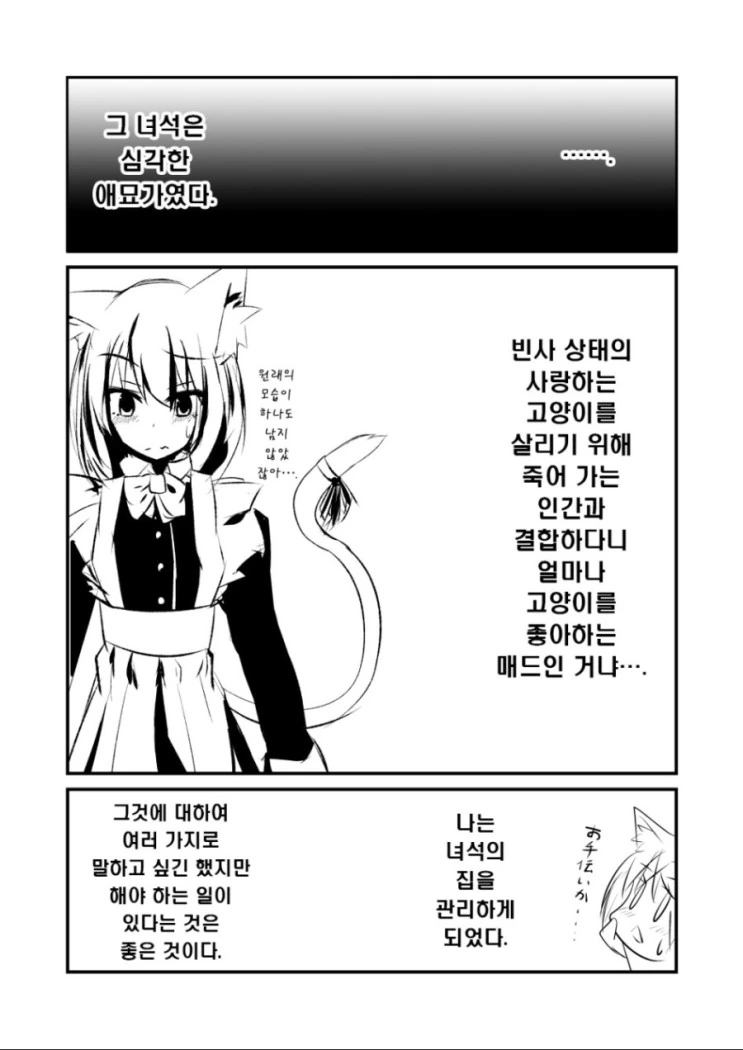고양이 소녀로 TS하는 만화 - 이미지 2