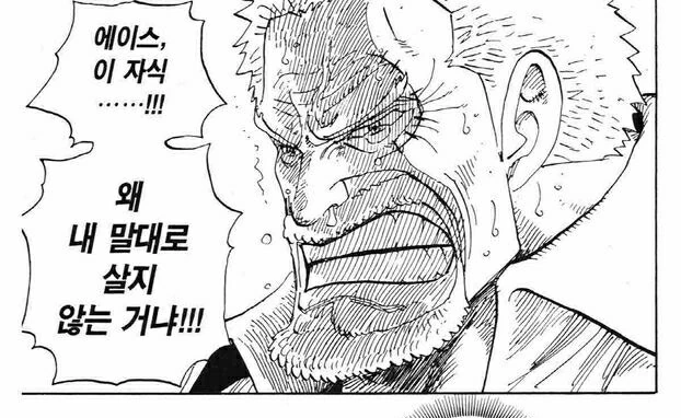 원피스) 가족은 다르다..! - 이미지 2