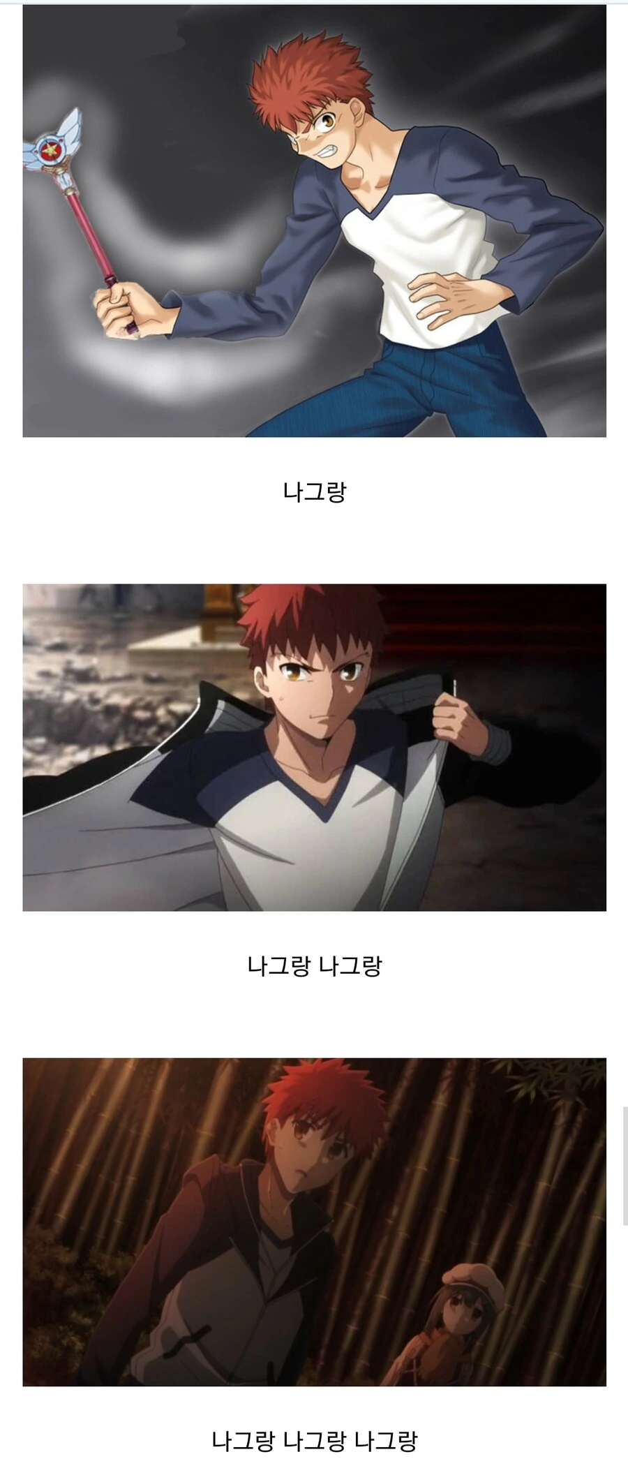Fate)나그랑 광인