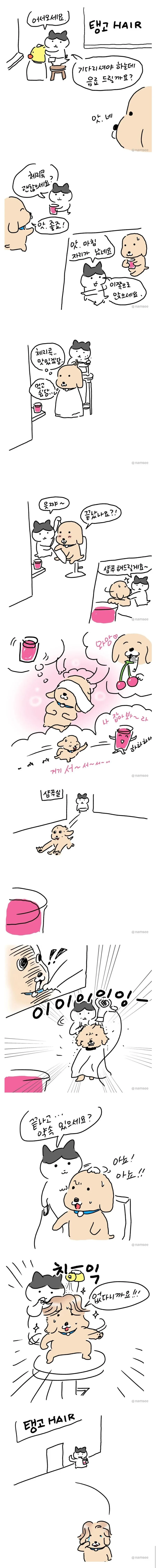 미용실에서 체리콕 받았던.manhwa