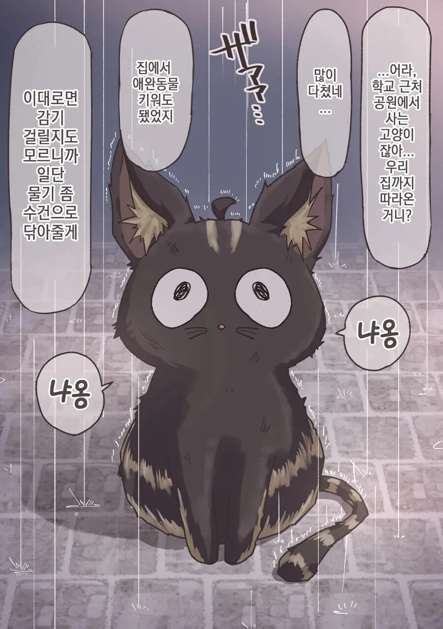 미소녀로 변신할 수 있는 고양이 .manhwa