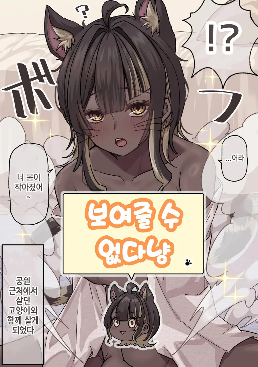 미소녀로 변신할 수 있는 고양이 .manhwa - 이미지 3