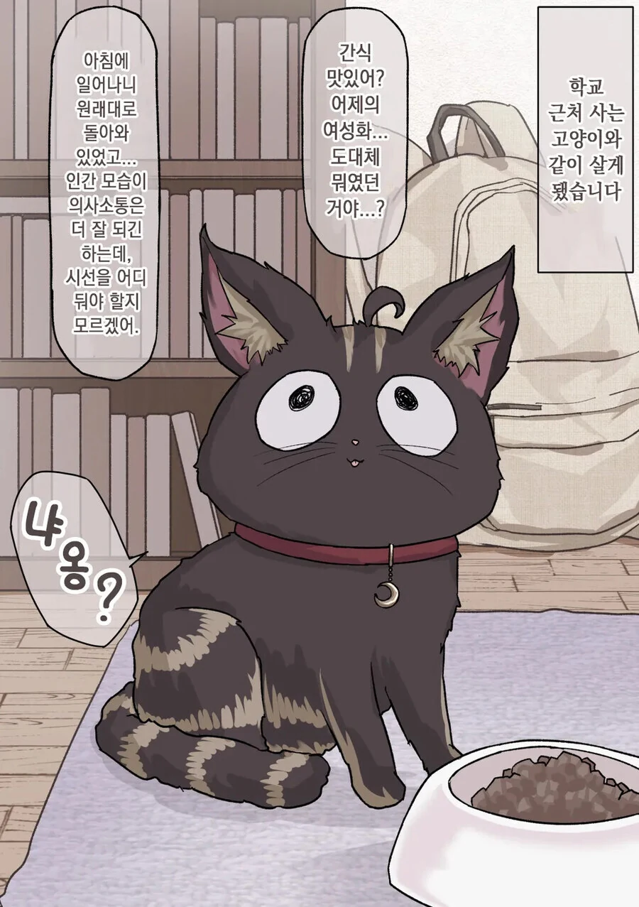 미소녀로 변신할 수 있는 고양이 .manhwa - 이미지 4