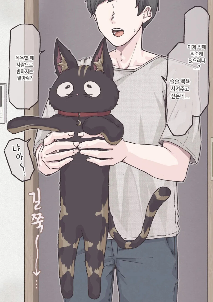 미소녀로 변신할 수 있는 고양이 .manhwa - 이미지 6