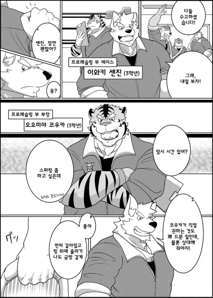 근육퍼리들이 레슬링 하는 manhwa