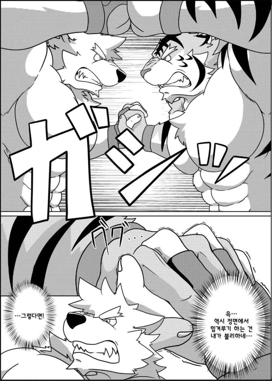 근육퍼리들이 레슬링 하는 manhwa - 이미지 3