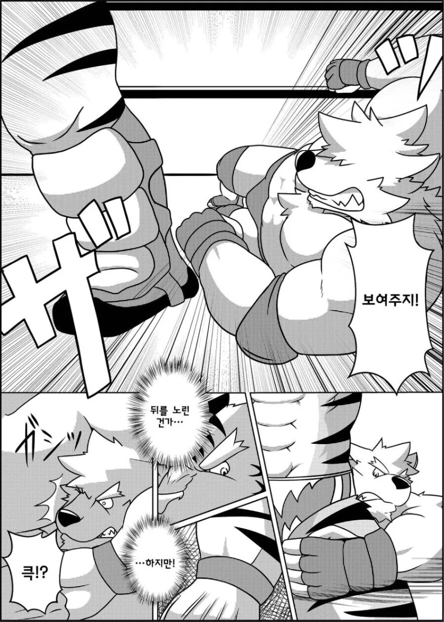 근육퍼리들이 레슬링 하는 manhwa - 이미지 6