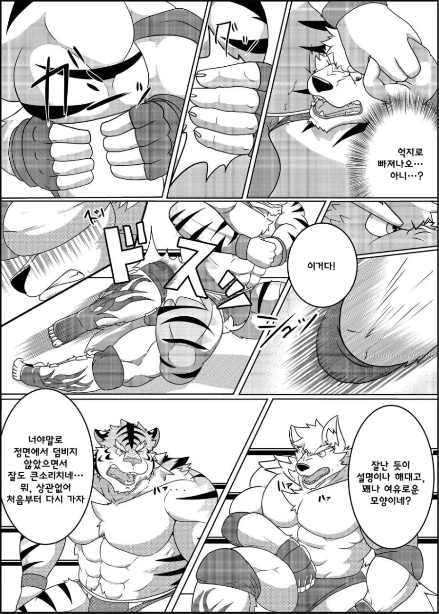 근육퍼리들이 레슬링 하는 manhwa - 이미지 8