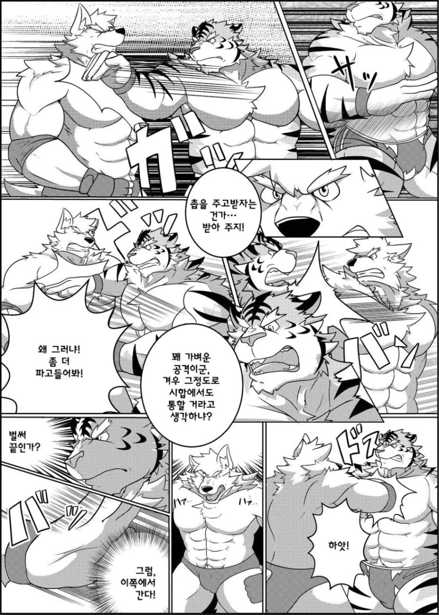근육퍼리들이 레슬링 하는 manhwa - 이미지 9