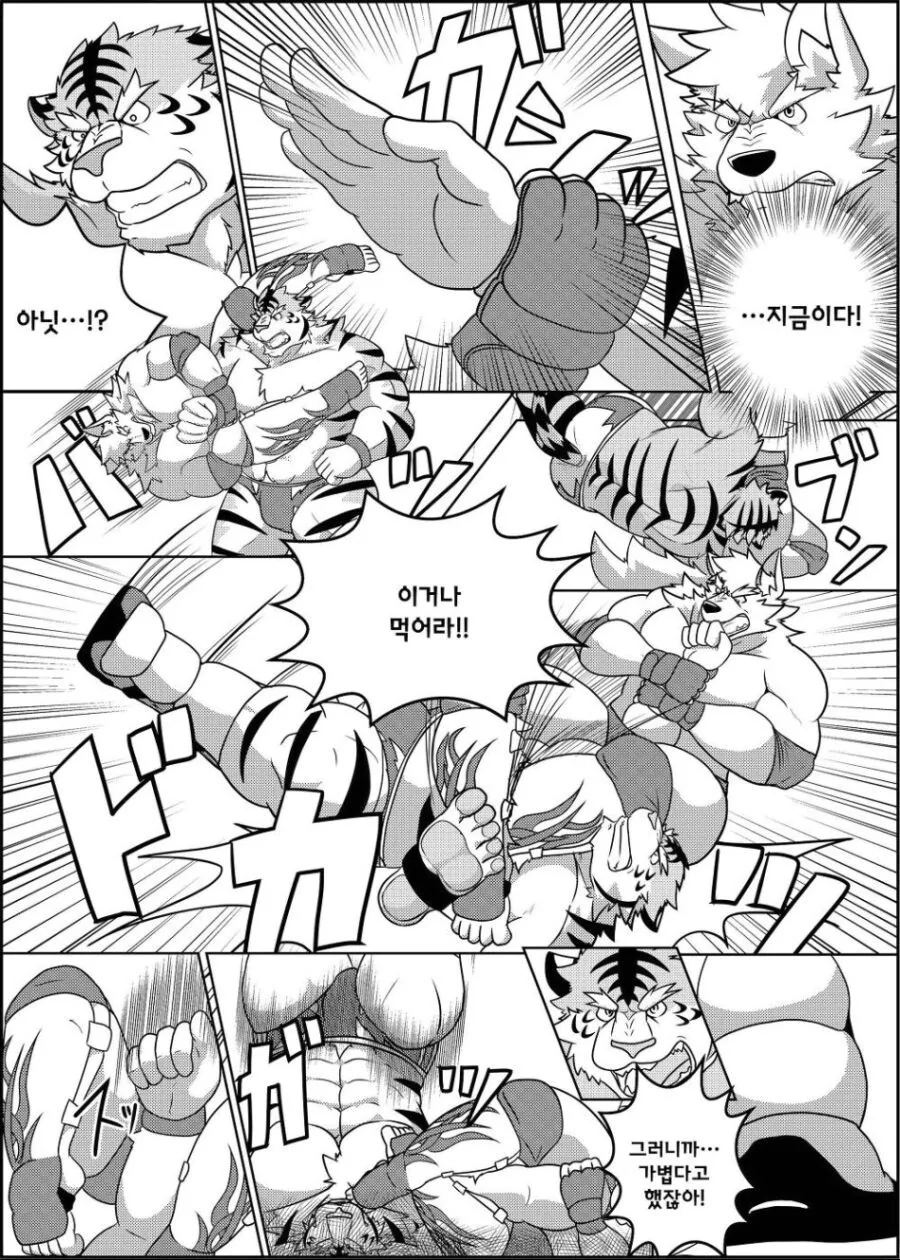 근육퍼리들이 레슬링 하는 manhwa - 이미지 10