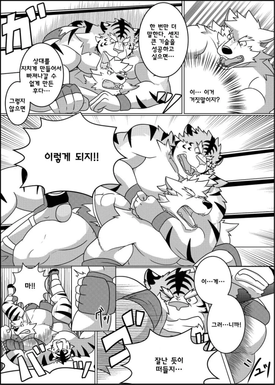근육퍼리들이 레슬링 하는 manhwa - 이미지 11