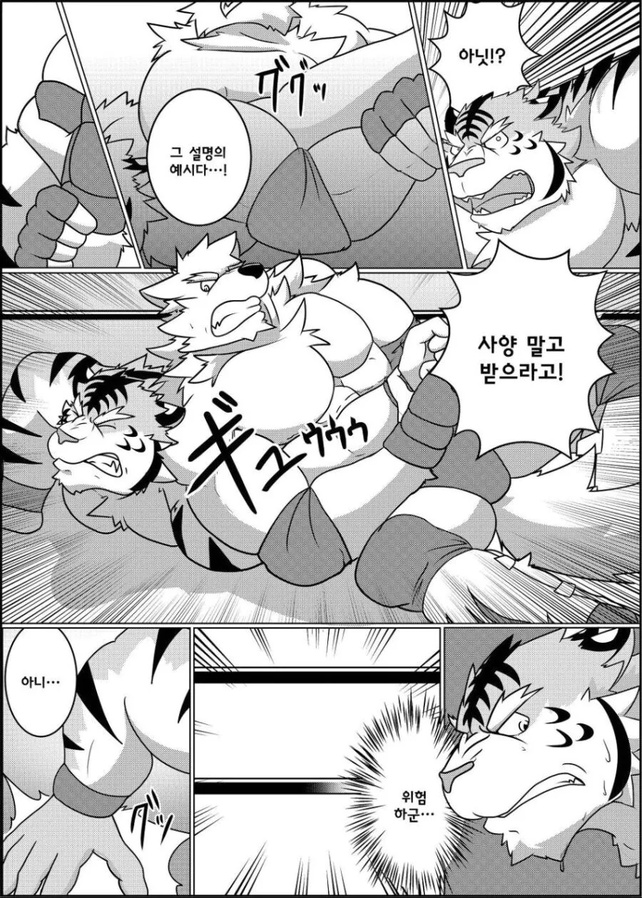 근육퍼리들이 레슬링 하는 manhwa - 이미지 12