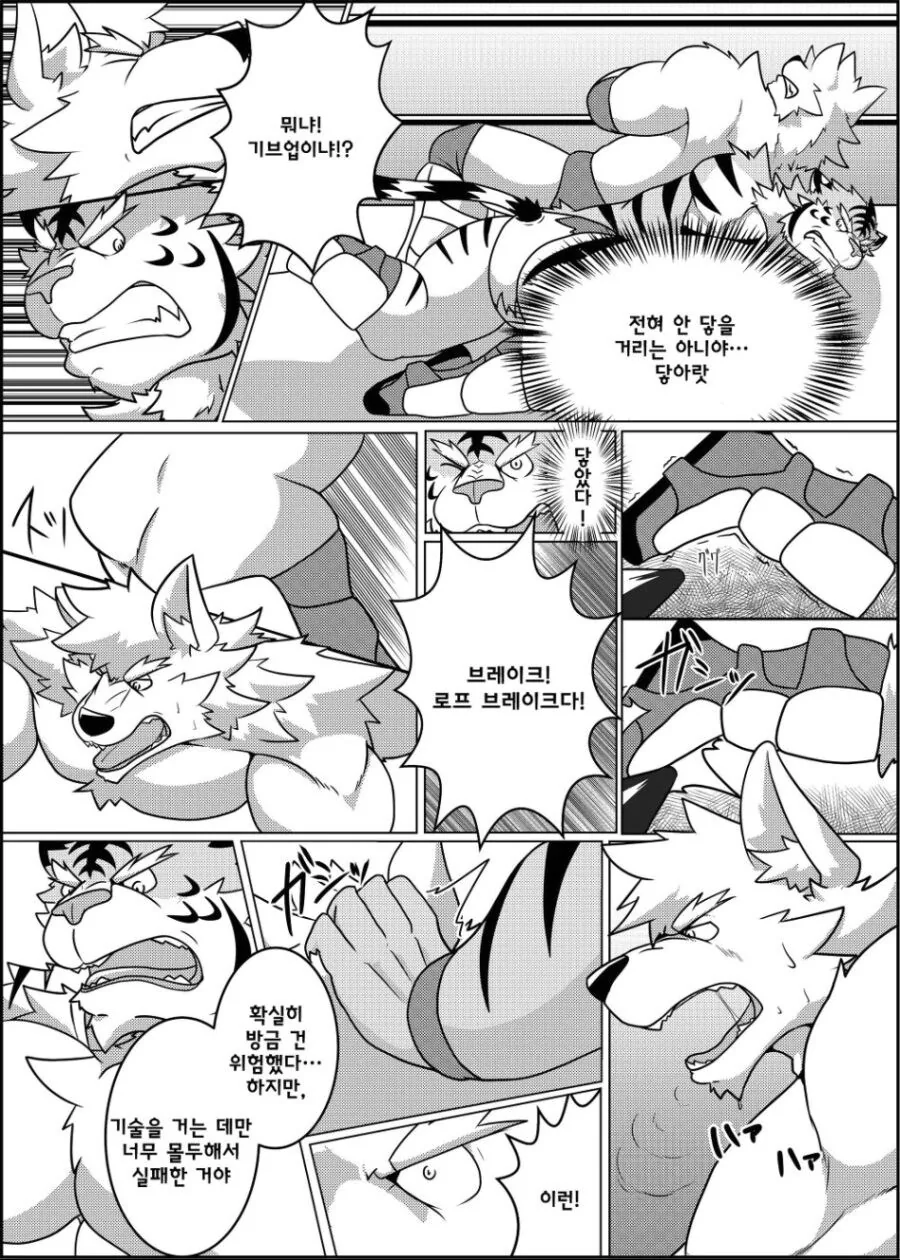 근육퍼리들이 레슬링 하는 manhwa - 이미지 13