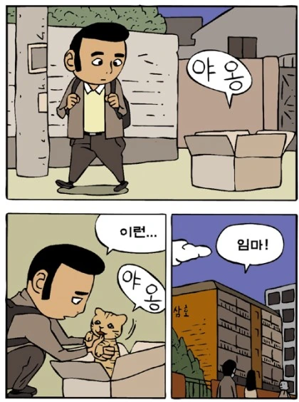 버려진 고양이를 데려다 키우는 manga