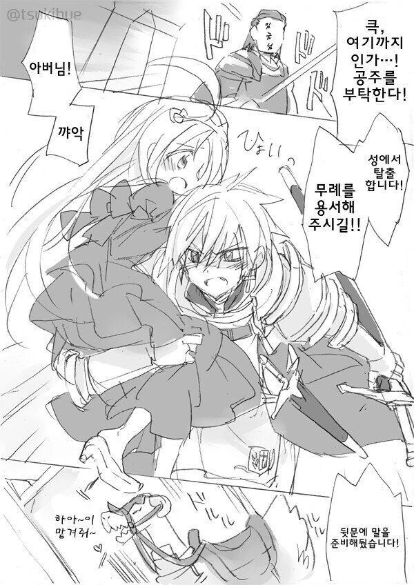 망국의 공주와 기사 만화