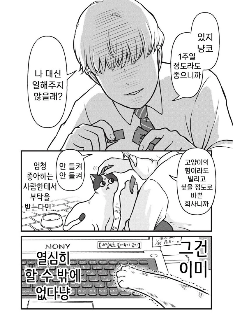 주인 대신 일하는 고양이 만화.manhwa - 이미지 2