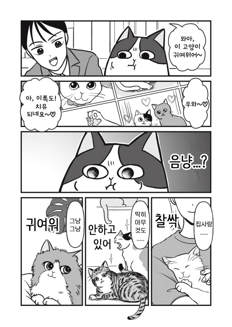 주인 대신 일하는 고양이 만화.manhwa - 이미지 20