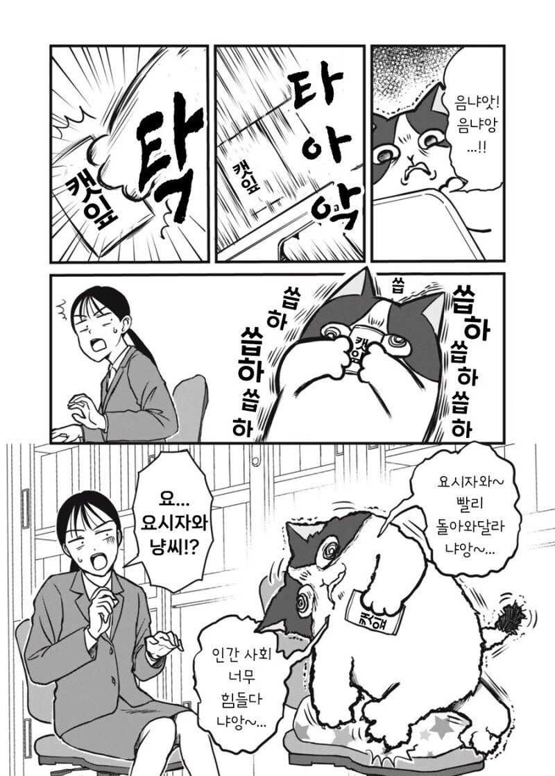 주인 대신 일하는 고양이 만화.manhwa - 이미지 22