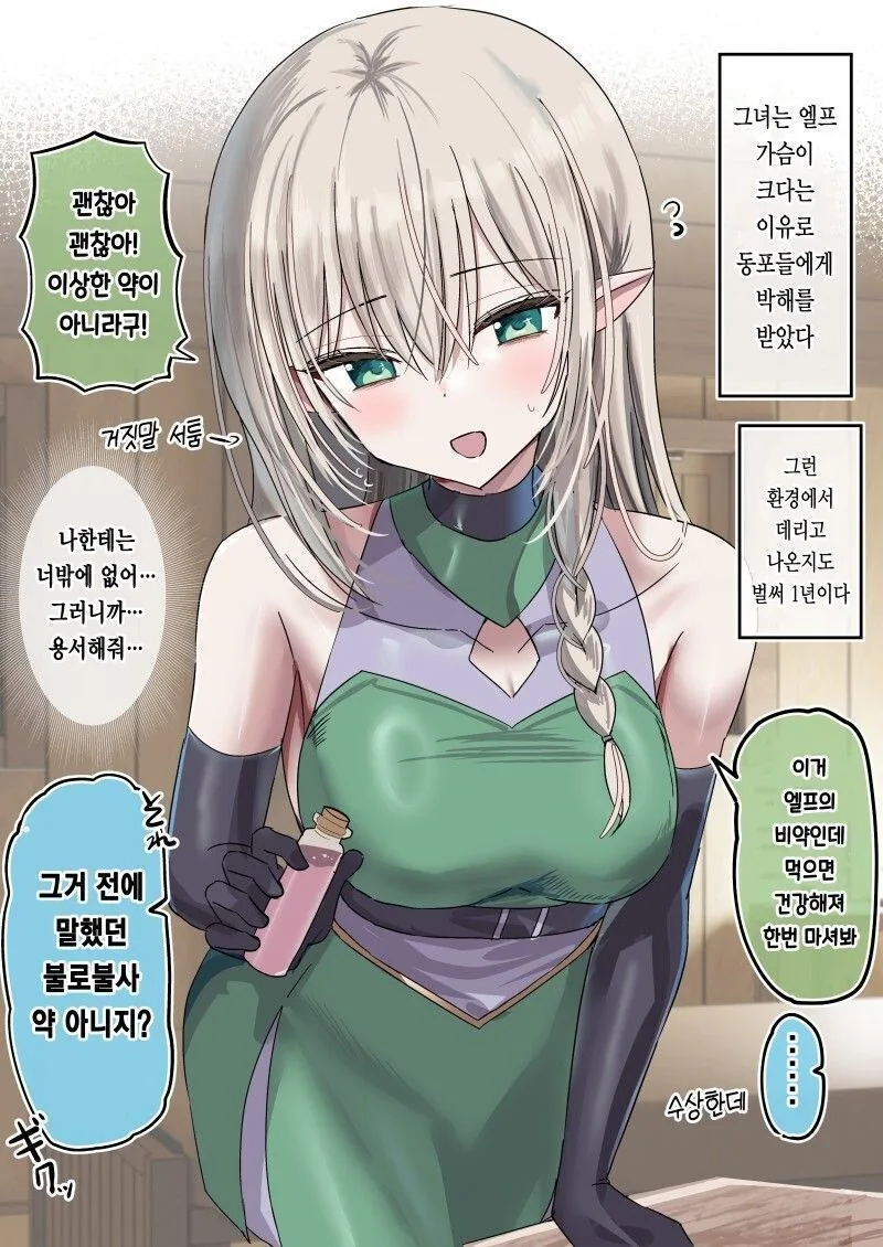 박해를 받았던 엘프를 데리고 나온 만화