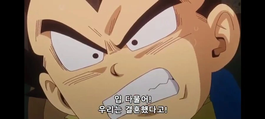 (드래곤볼) 흔한 결혼관 ㄷㄷㄷ - 이미지 2