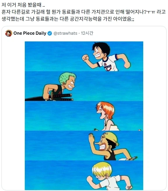 원피스) 다른 만화였으면 치명적인 복선이었을 장면.jpg