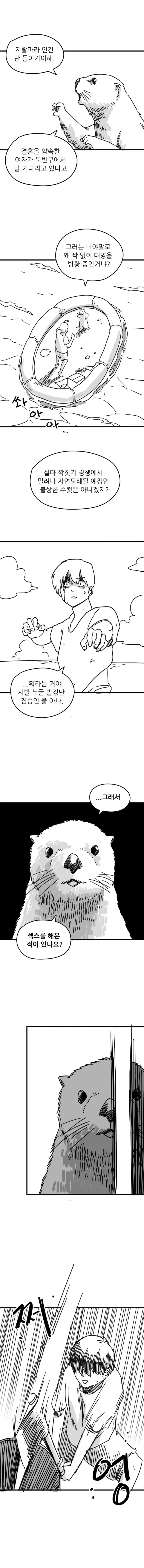 해달이랑 맞짱뜨는.manhwa - 이미지 2