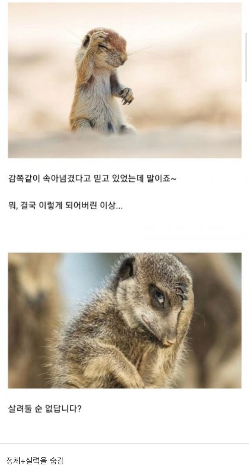 만화 실눈캐 대사 클리셰