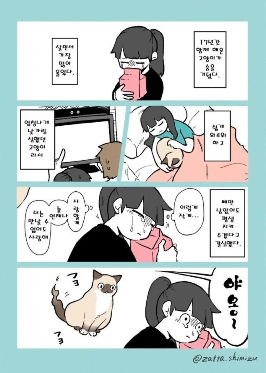죽은 고양이가 다시 나타나는 만화