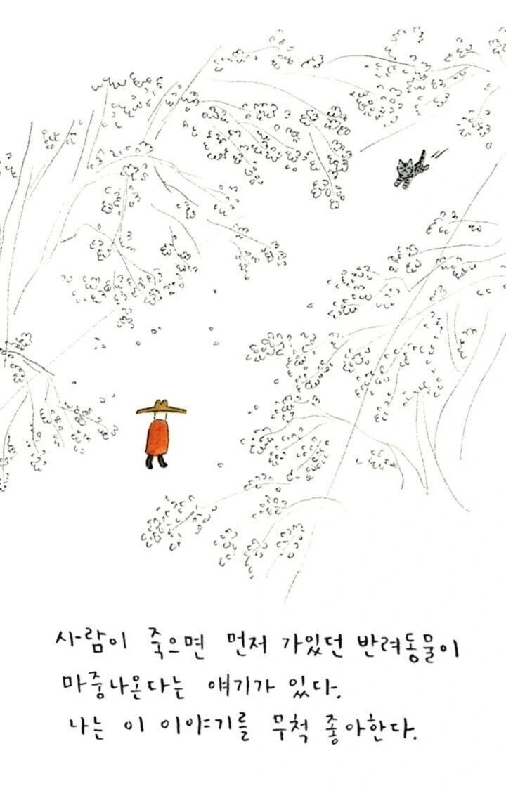 죽은 고양이가 다시 나타나는 만화 - 이미지 5