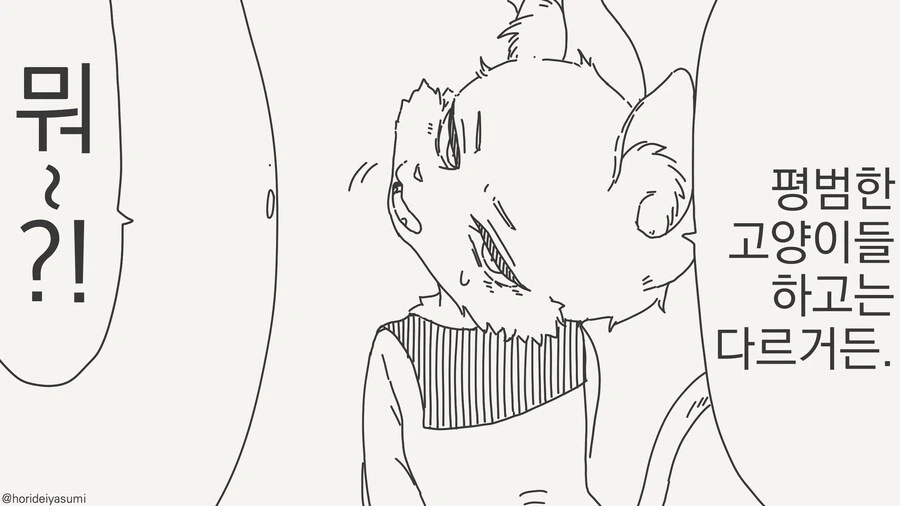 고양이 팡팡팡......manwha - 이미지 2