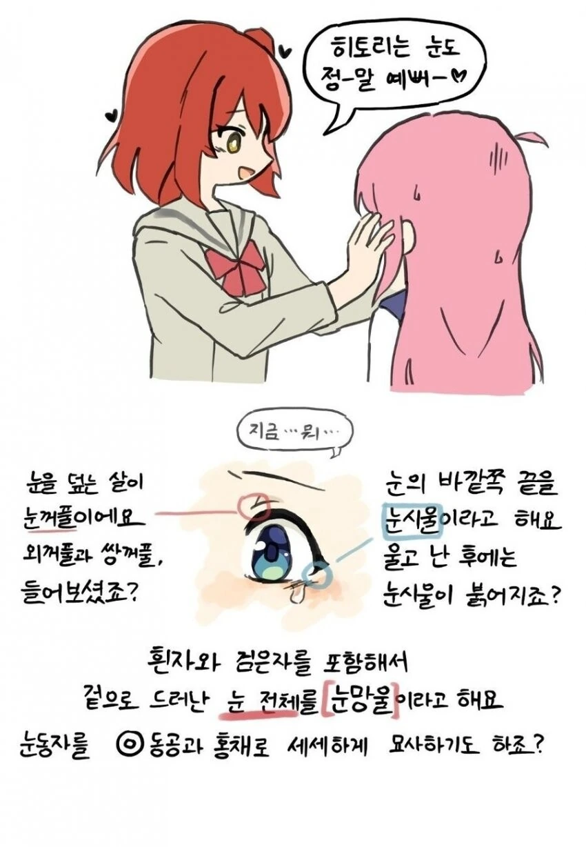 봇치더락) 사람의 신체부위에 대해 공부해보는.manga - 이미지 5