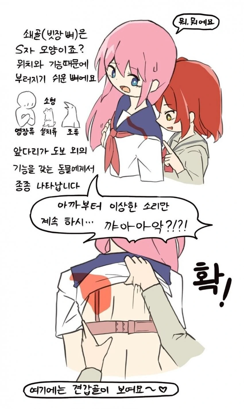 봇치더락) 사람의 신체부위에 대해 공부해보는.manga - 이미지 8