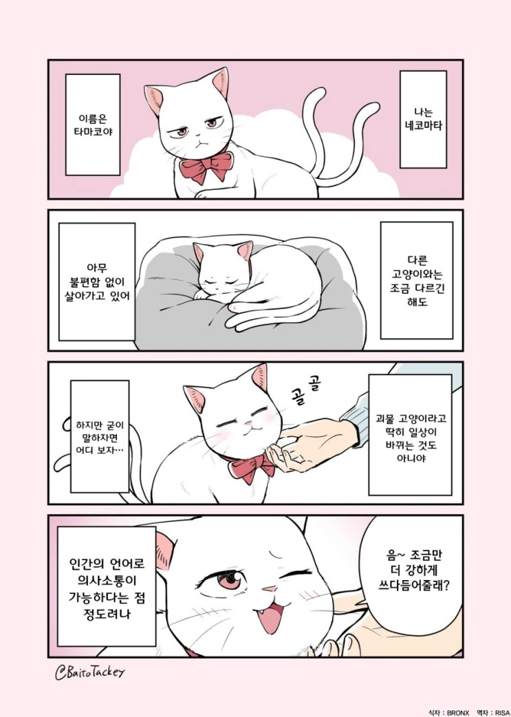 꼬리두개 고양이 요괴 만화