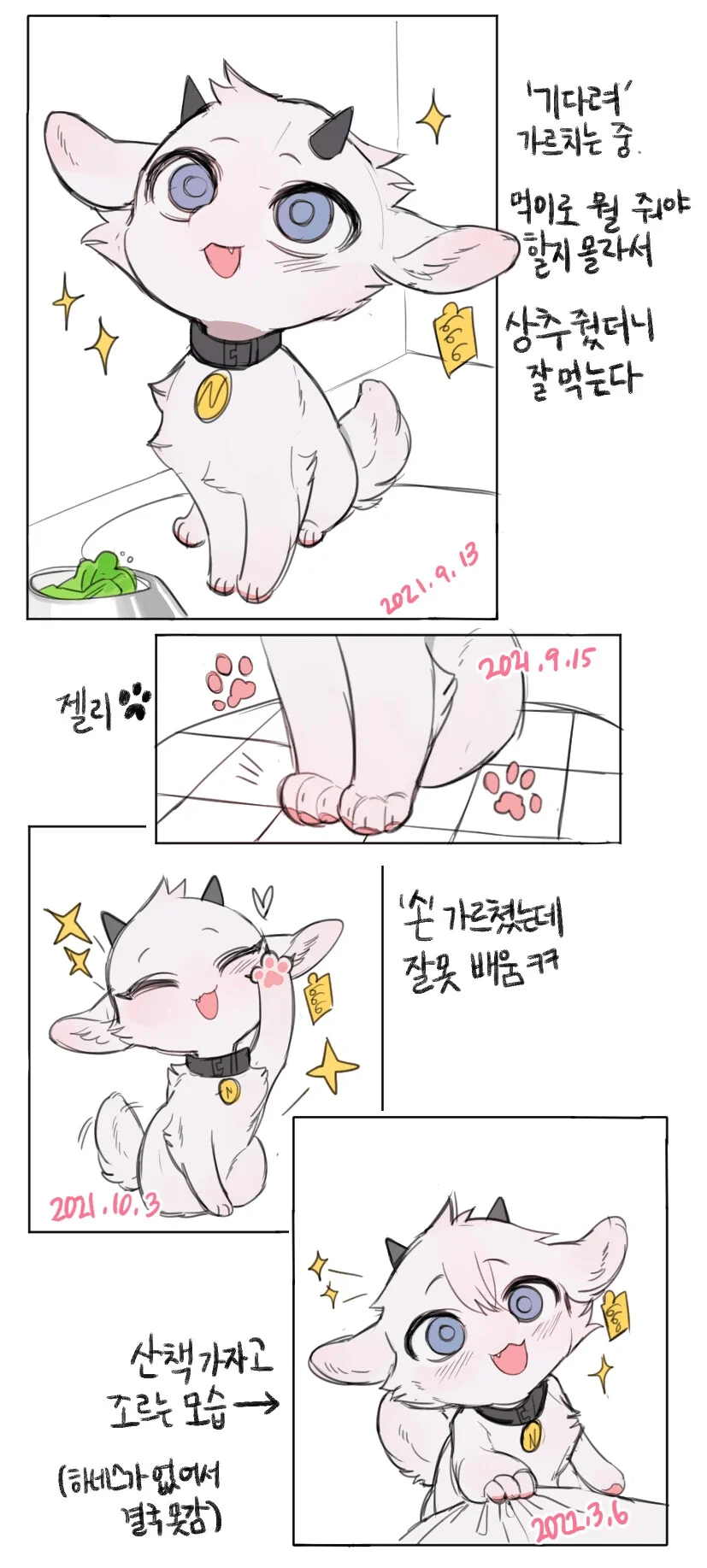 애완 염소 키우는 만와
